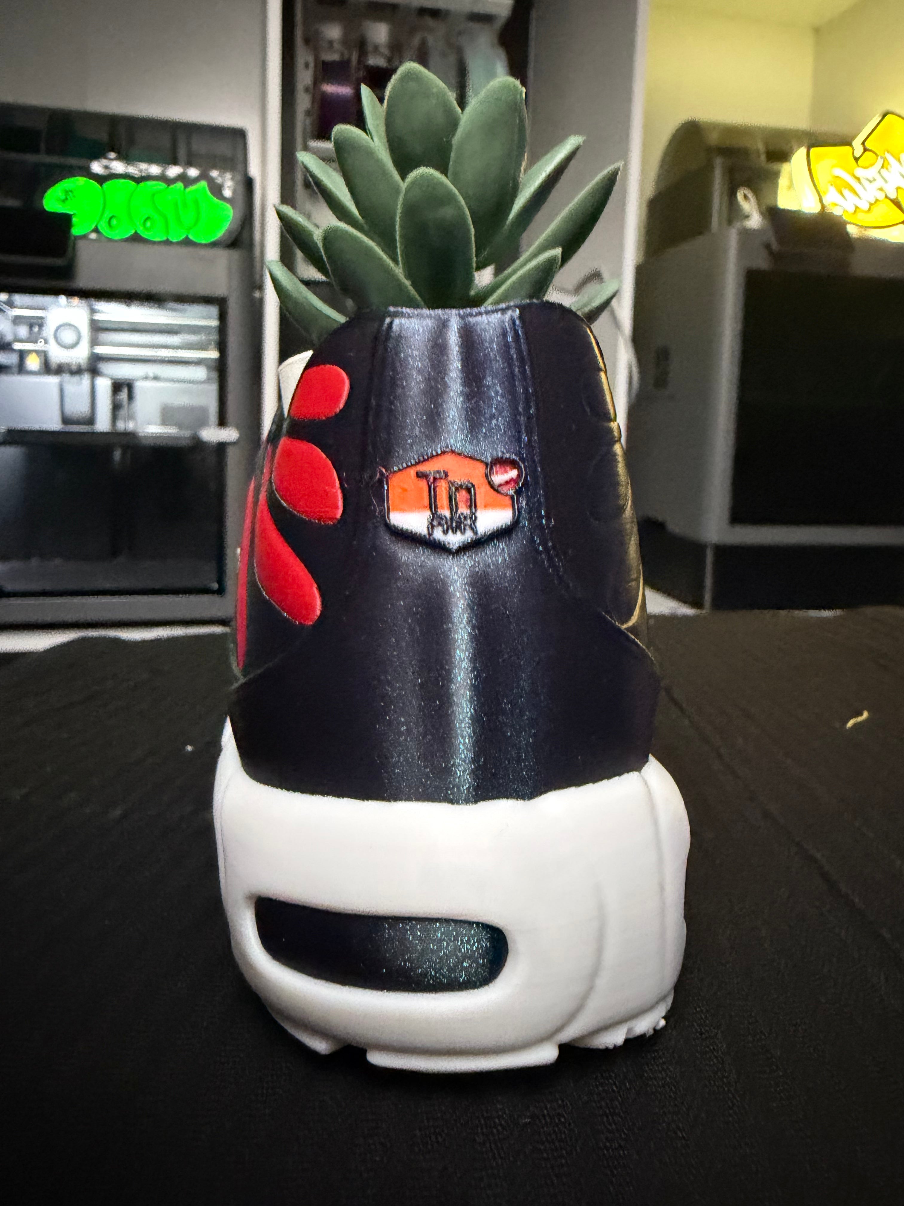 QLD Nike TN Sneaker Planter